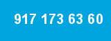 917 173 63 60 917 173 63 60